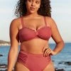CUPSHE Chelsea Mesh Plus Size Bikini