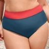 CUPSHE 4th Of July Sea To Shining Sea Banded High Waist Plus Size Bikini Bottoms